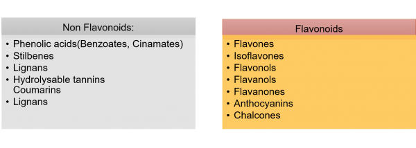 Polyphenols In Wine Authenticity Science And Wine